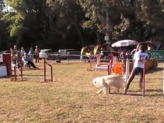 JUMPING CCABS 161011 CERISE