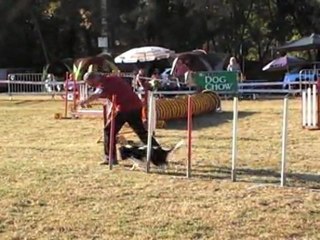 JUMPING CCABS 161011 CHOUIA