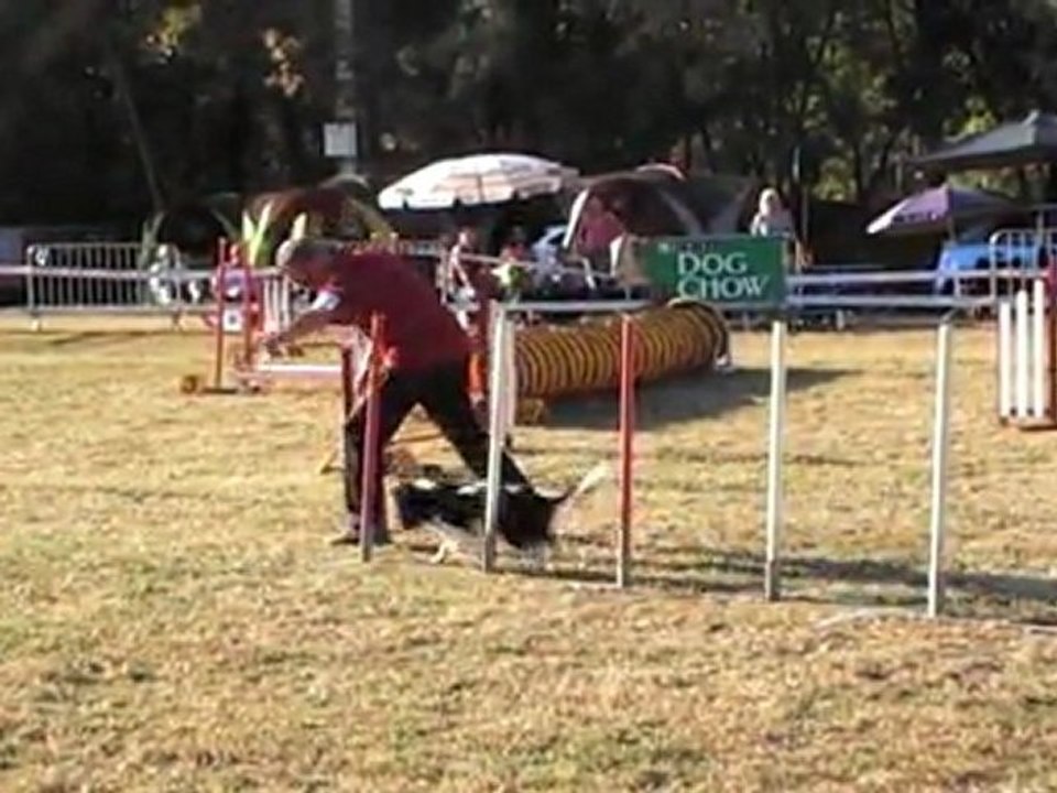 JUMPING CCABS 161011 CHOUIA