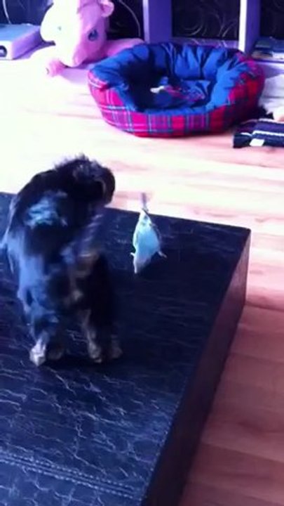 IMG_1592