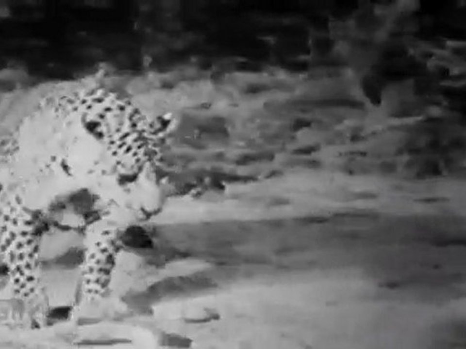 Naga Nandhini SCENE 01