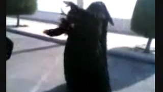 Deobandi Wahhabi Students of Lal Mosque Dancing after a suicide attack
