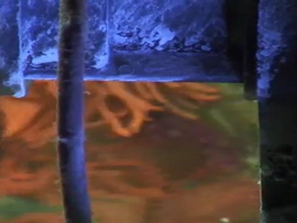 Le poisson des abymes