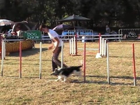 JUMPING CCABS 161011 ETHAN