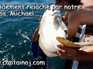 Le maigre record de Michael relaché avec Cap'tain OJ..36 kgs