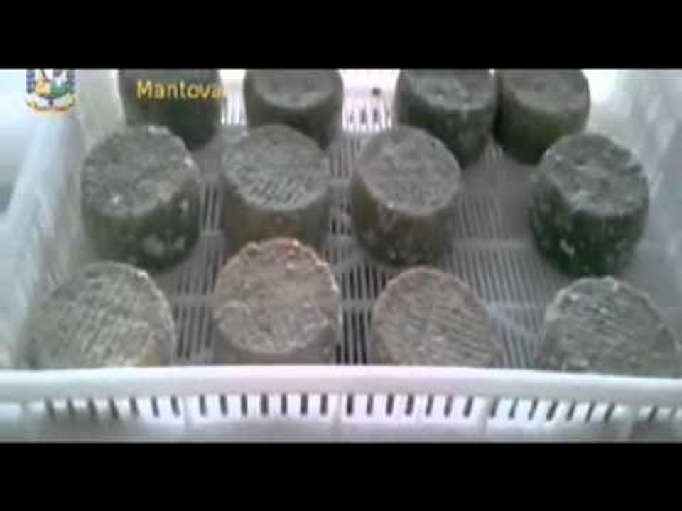 Mantova - Sequestrao di formaggio avariato