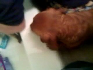 Cat talks while getting a bath