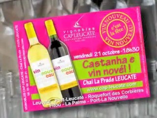 Vignobles Cap Leucate - Vin nouveau