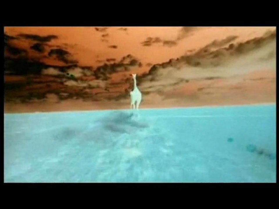The Image of Creation