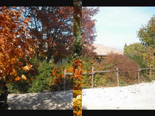 couleurs d'automne