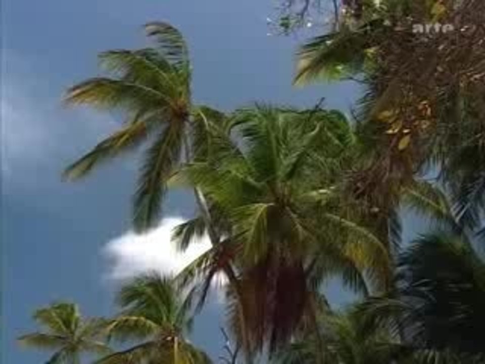 Martinique (reportage)