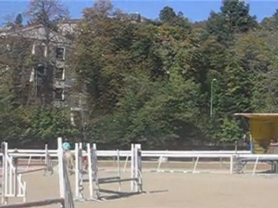 Saut d'obstacle avec ma juju