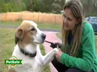 Dog Training Collars at RadioFence.com