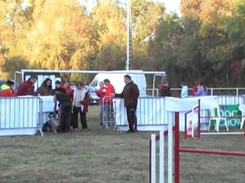 OPEN CCABS 161011 SWEET