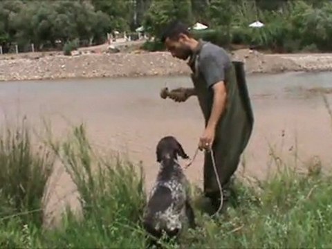 Kurzhaar vom Akhisar & 2 Asil alçak suda iple ilk aport