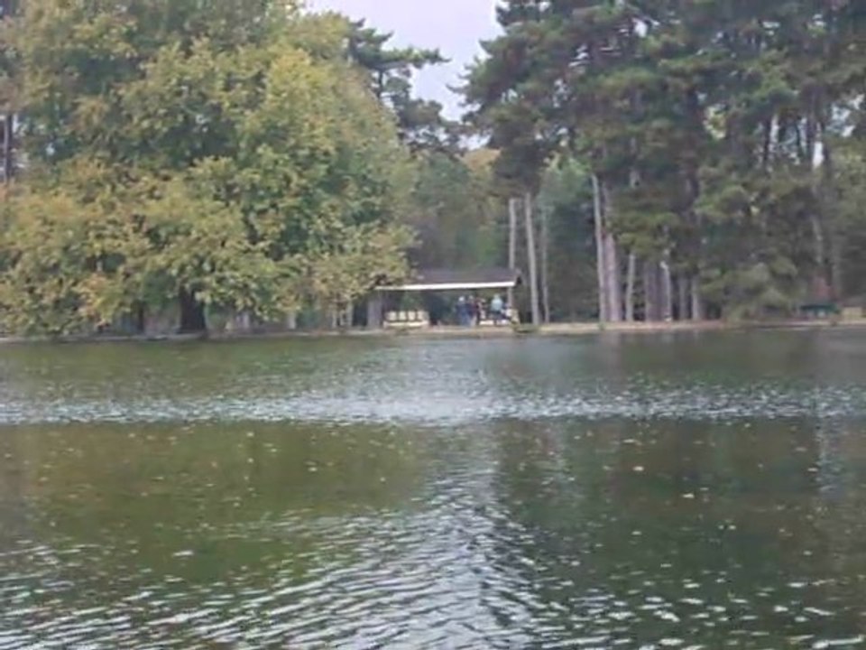 LES TROMPO-FOLIES DU BOIS DE BOULOGNE : "L'arrivée au bois"