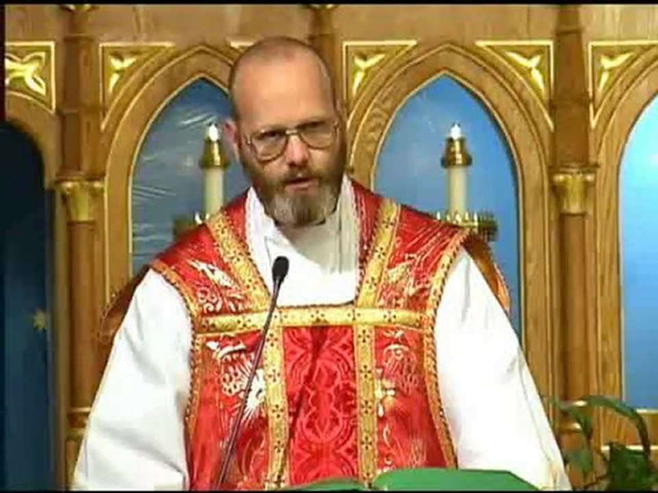 Oct 18 - Homily - Fr Dominic: St. Luke the Evangelist