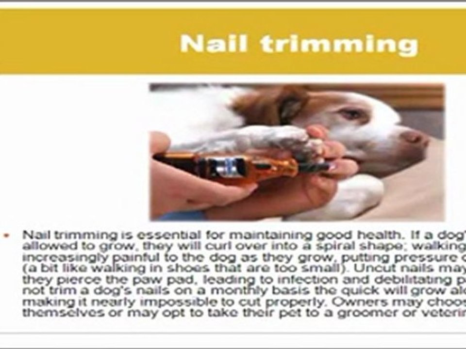 We are your neighborhood pet salon serving Bradley and the s