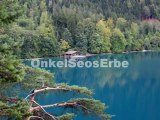 Ein paar Fotos von OnkelSeosErbe