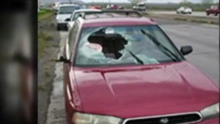 65230  windshield repair