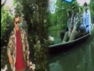 Irys - Białe łabędzie