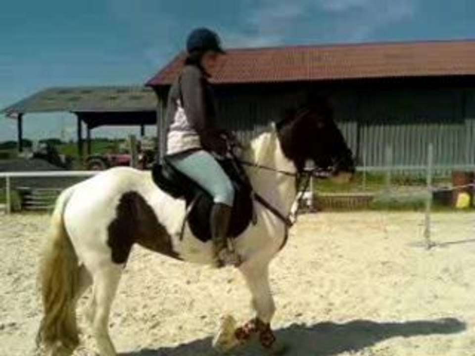 video-0003