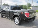 2009 Ford F-150 for sale in Saint Cloud FL - Used Ford by EveryCarListed.com