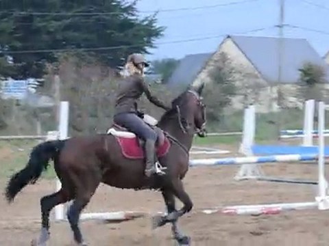 Queyas trotteur concour 80/90cm chute a la fin