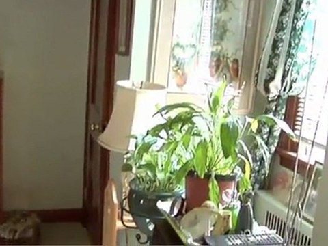 7455 New Second St Elkins Park PA