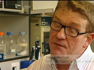 MALARIA VACCINE: Scientists make breakthrough