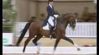 Dressage