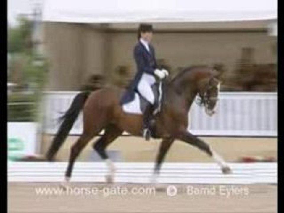 Dressage