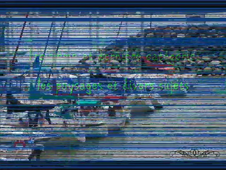 Projet Assistance et Intégrité