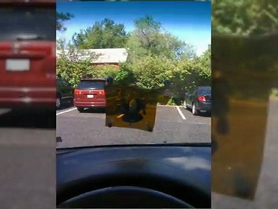 65705  windshield repair shop