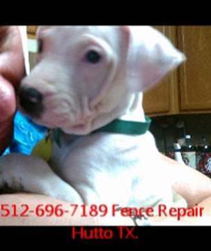 512-696-7189 Fence Repair Hutto TX.4