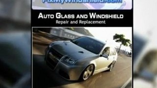 65067  windshield repair