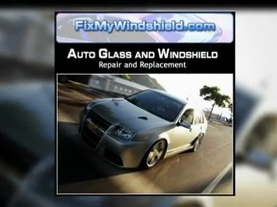 65067  windshield repair