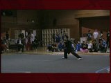 Wushu, Karate & Martial Arts Demonstration by Collegiate Fremont, CA