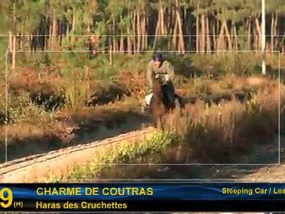 Charme de Coutras