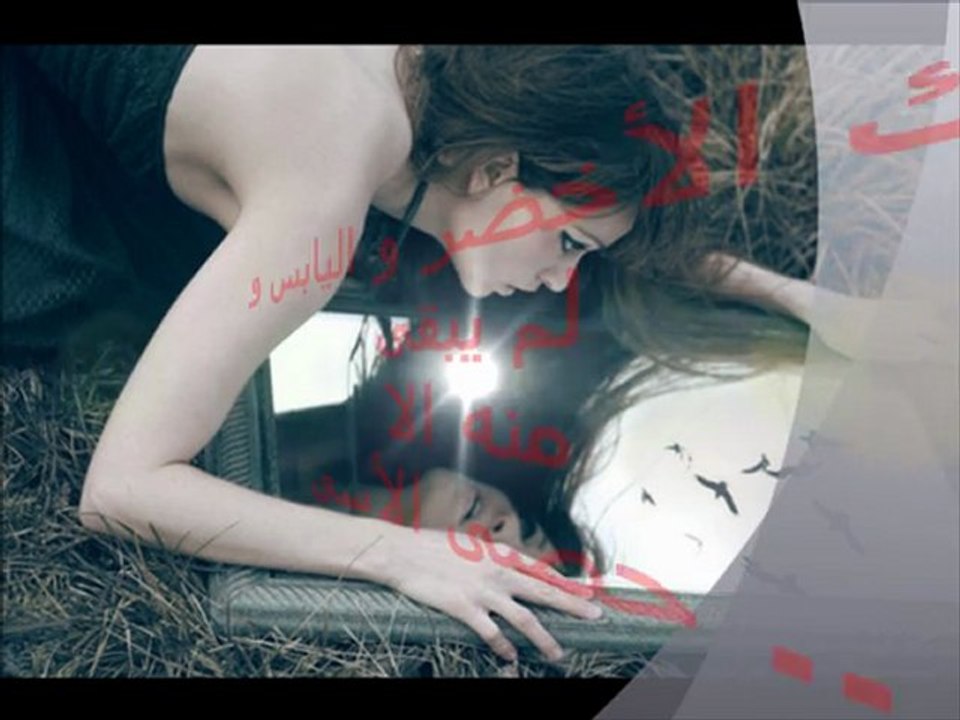 أيها الرجل الحمى - سرين الدمشقية