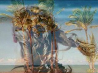 insan özgür olmaya mahkümdür