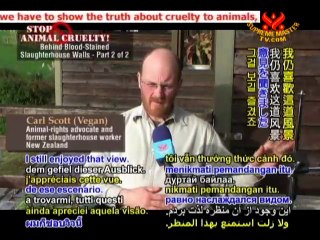 Behind Blood-Stained Slaughterhouse Walls - P2/2
