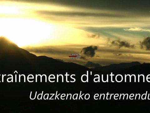 Vidéo extrait entraînements chiens de traîneau d'automne...