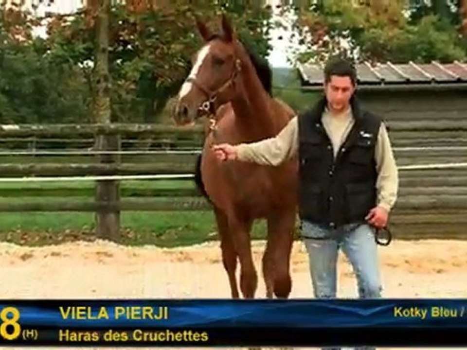 Viela Pierji