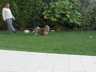 Comment jouer au foot avec un nounours !!!!!