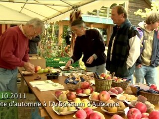 La caméra en balade du 19 octobre 2011