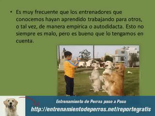 Secretos del Entrenamiento Canino