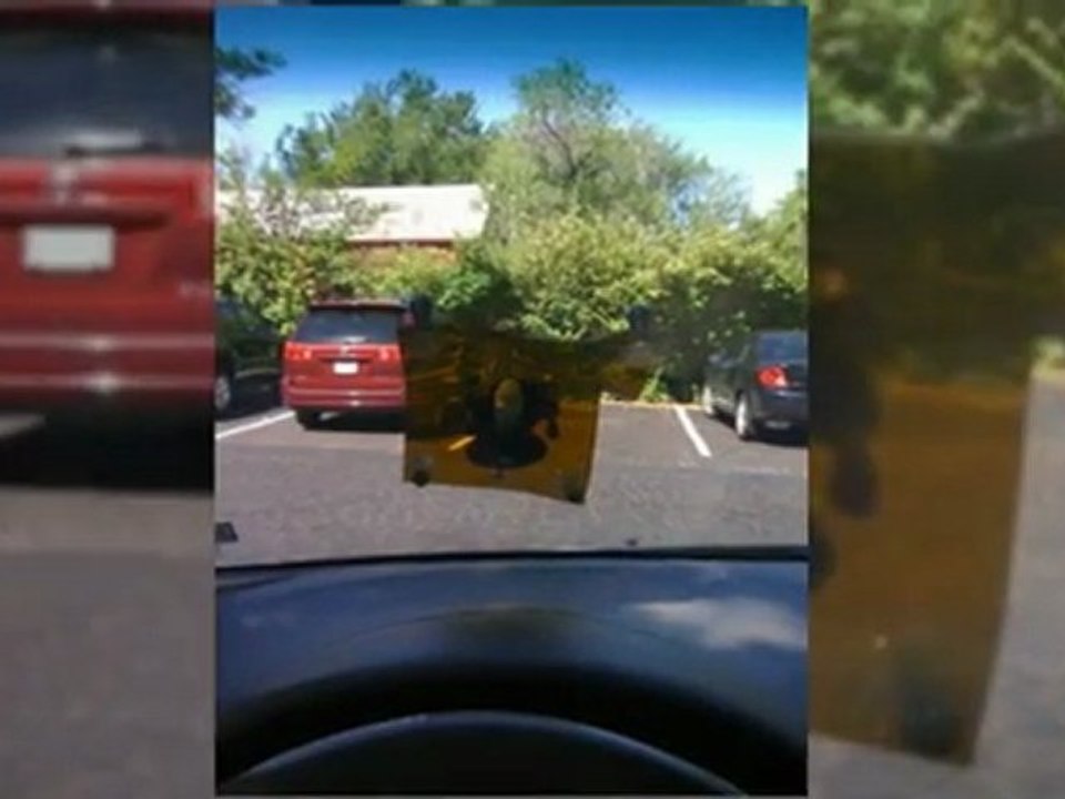 28217  auto glass quote