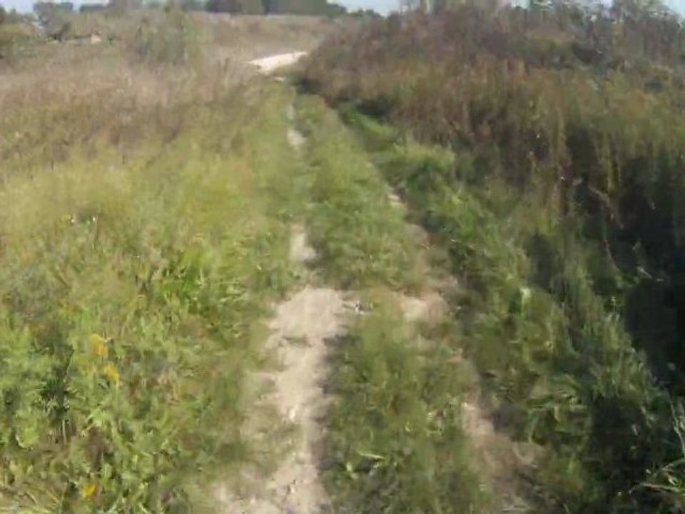 1er test de ma gopro HD en 700 raptor