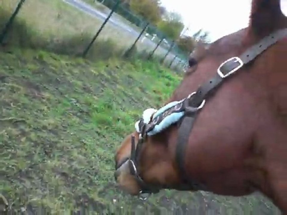 18.10.11 Ulysse